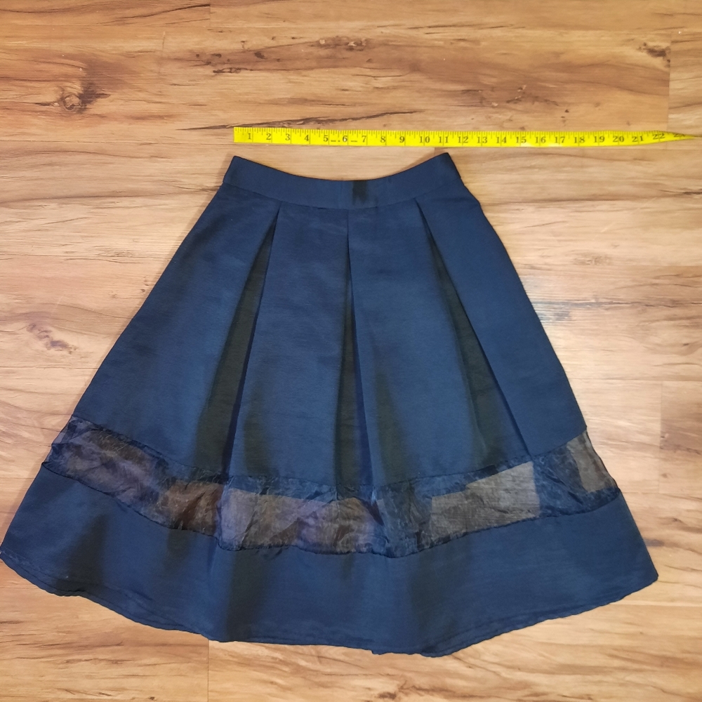 Express Skirt, Sheer Panel insert Black, 6, Pleats - Picture 4 of 7